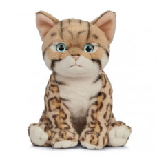 Bengal Plush Kitten